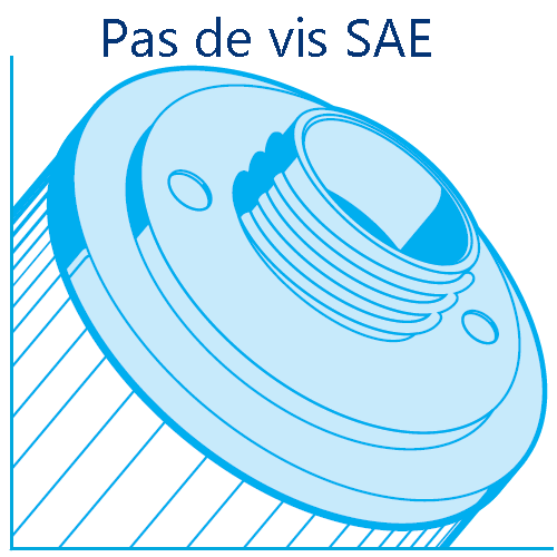 Pas-vis-SAE.png