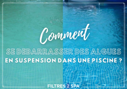 Algues en suspension dans le bassin de la piscine : comment s'en débarrasser ?
