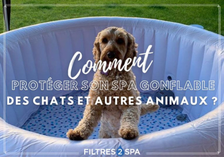 Comment protéger son spa gonflable des chats et autres animaux ?
