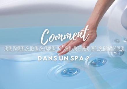 Algues blanches dans le spa : qu'est-ce que c'est et comment s'en débarrasser ?