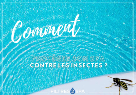 Comment protéger son spa contre les insectes et les nuisibles ?