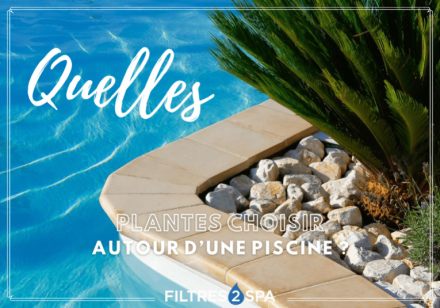 Quelles plantes choisir autour d'une piscine ? - Filtres2Spa