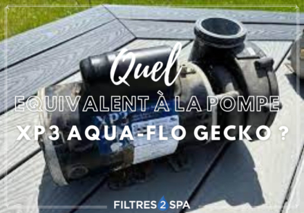 Quel modèle pour remplacer ma pompe XP3 Aqua-Flo Gecko ?